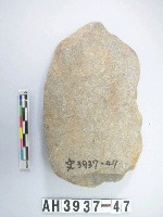 藏品(中型舌刃打製石斧)的圖片